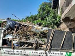 Best Same-Day Junk Removal Services  in Boulevard Gardens, FL